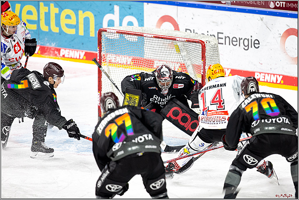 PENNY DEL;  Koelner Haie - Fischtown Pinguins Bremerhaven; Koeln, 17.01.2021